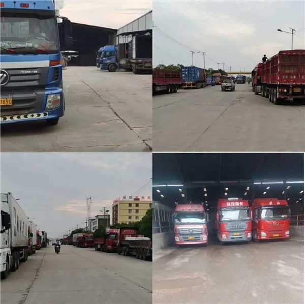 1605336319609109.jpg 3.jpg